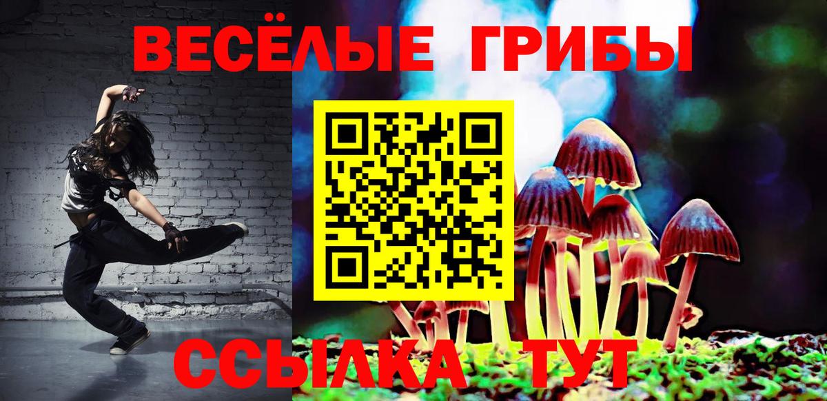 Галлюциногенные грибы Cubensis  Вход с VPN  Карталы 