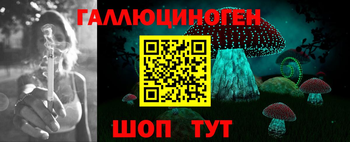 Псилоцибиновые грибы GOLDEN TEACHER Карталы